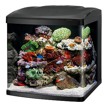 Full Size of Fish Tank Desk Fish Tank Aquarium Best Office For Center Tanks Saltwater Freshwater ... HD phone wallpaper
