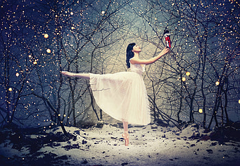 Nutcracker English National, English National Ballet, Ballet, English National HD wallpaper