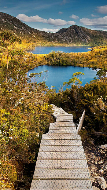 St. Clair National Park, Australia HD phone wallpaper