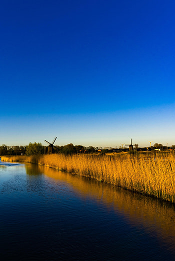 Nature, Grass, Lake, Mill, Mills HD phone wallpaper
