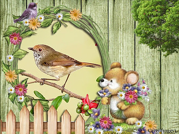 BIRD IN FRAME, FRAME, ABSTRACT, , BIRD HD wallpaper