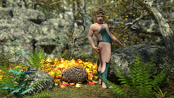 Aua ..., hedgehog, elven, humor, sitting HD wallpaper