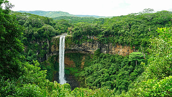Chamarel waterfall, Mauritius, pond, wildflowers, river, blossoms, trees, landscape, forest HD wallpaper