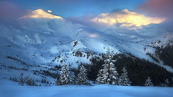 Winter landscape, Treees, Winter, Mountains, Snow HD wallpaper