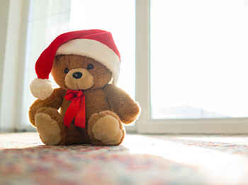 teddy bear, man made, stuffed animal HD wallpaper