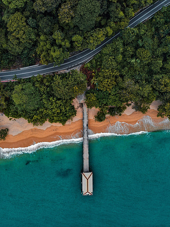 Coast, Nature, Trees, View From Above, Pier, Bungalow HD phone wallpaper