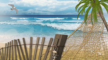 Seacoast, palm tree, Ocean, Sea HD wallpaper