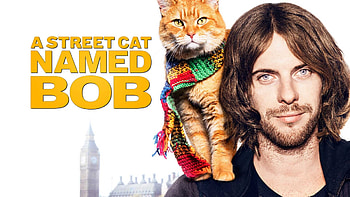 A Street Cat Named Bob, Movies, 2016, Radio Times HD wallpaper