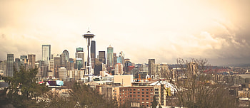 Seattle Skyline, Bean and Bear Creative, Creative agency, Unique perspectives HD wallpaper