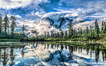 USA, , R, forest, lake, mountains, summer, America, beautiful nature HD wallpaper