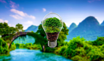 Wood, Tree, 3D, Blur, Smooth, Lamp, Miniature HD wallpaper