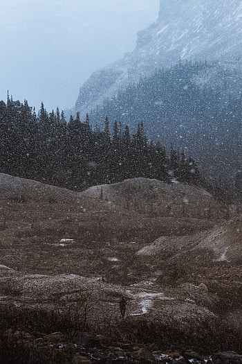Landscape, Nature, Trees, Mountains, Twilight, Dusk, Snowfall HD phone wallpaper