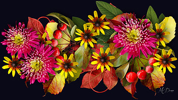 Fall Jumble, leaves, flowers, fall, Firefox theme, autumn, ribbons HD wallpaper