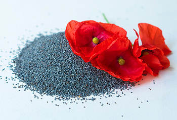 Poppy Seeds, Baking inspirations, Festive desserts, Remembrance symbolism HD wallpaper