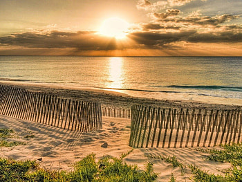 COPPER HORIZONS, seaside, fences, sea, sand, seascapes, coast, beaches, seashore, sunrise, water, sunset HD wallpaper