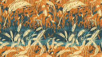 background of wheat fields, Abstract HD wallpaper