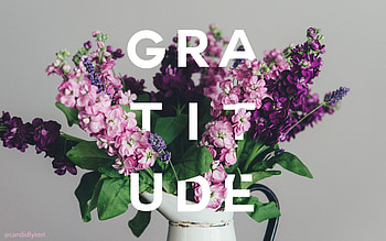 Gratitude, Thankfulness, Appreciation, Gratefulness HD wallpaper