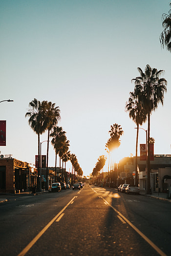 Cities, Auto, Sunset, Palms, City, Street HD phone wallpaper