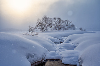 Quad - Winter's Snowbound Brook, snow, nature, winter HD wallpaper