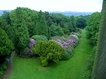 Wentworth castle gardens, green, trees, view, flowers, castle HD wallpaper