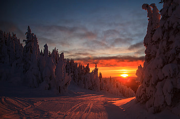 Landscape, Winter, Nature, Sunset, Forest, Snow Covered, Snowbound, Slope HD wallpaper
