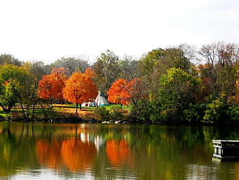 Autumn Trees Reflection, trees, autumn, reflection, water HD wallpaper