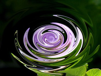 reflections of purple, swirl, pond ripple, abstract, irises, flowers, water HD wallpaper