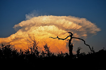 The storme is coming, black, clouds, storme, sky, r, nature, orange HD wallpaper
