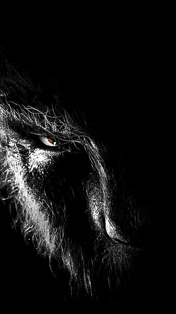 Wolfman , Dark visuals, Gothic horror, Mysterious creature HD phone wallpaper
