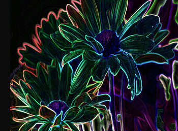 Night mood, flowers, 3d HD wallpaper