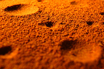 Favourite orange cooking, Spice and salt, Delicious flavours, Culinary art HD wallpaper