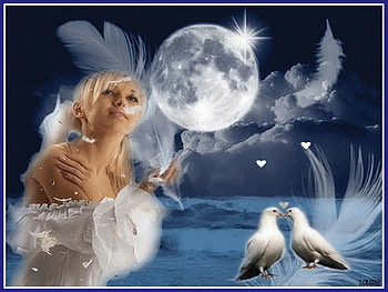 love, feather, magic, moon, dove HD wallpaper