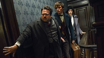 David Yates movies, Five Fantastic Beasts, Director's commitment, Geektyrant news HD wallpaper