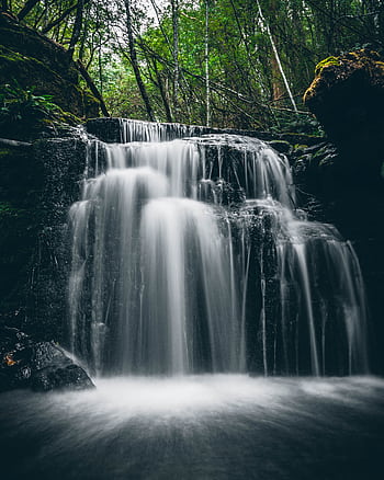 A tranquil waterfall cascades amidst a vibrant forest, captured in long exposure. HD phone wallpaper
