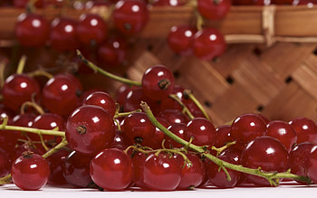 Redberries, sweet, summer, basket, dessert, fruit, redberry, food HD wallpaper