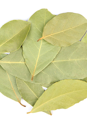 Bay leaves, Whole herb, Elsewhere apothecary HD phone wallpaper