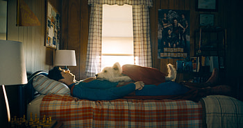Superman 2025 & Krypto – Epic DC Movie Scene, movie, Superman (2025), Krypto (DC Comics) HD wallpaper
