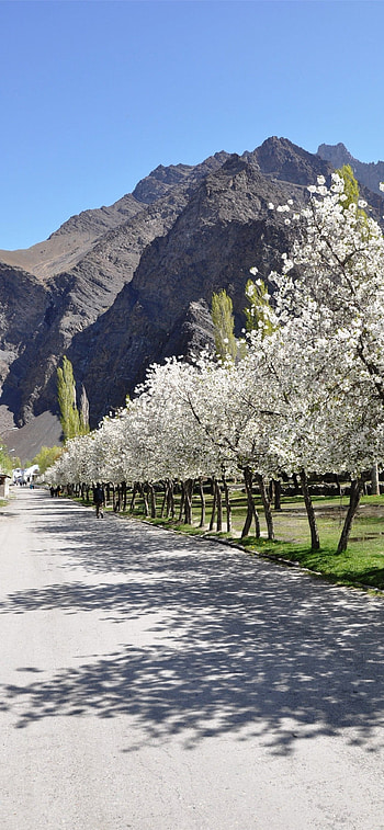 Best Tajikistan , Captivating sceneries, Enchanting beauty, Mobile HD phone wallpaper