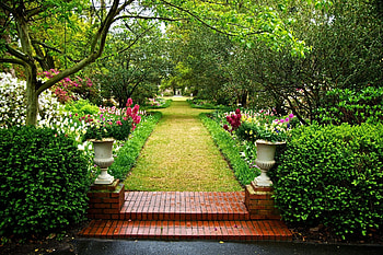 garden , Ultra beauty, Stunning landscapes, Captivating scenes HD wallpaper