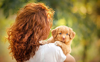 Cute Little Friend, puppy, hair, animals, woman HD wallpaper