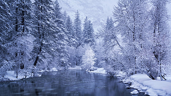 Merced River, Yosemite NP, California, snow, ice, clouds, trees, sky, water, usa HD wallpaper