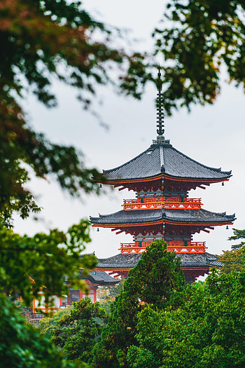 Trees, Architecture, Building, Miscellanea, Miscellaneous, Branches, Pagoda, Temple HD phone wallpaper