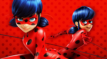 Ladybug, Cat Noir , Stylish and sleek HD wallpaper