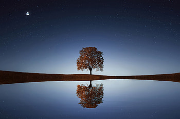 background of light, dawn, landscape, nature HD wallpaper