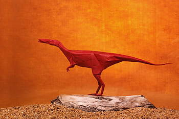 Dinosaurs Origami, dinosaur, origami, creative HD wallpaper