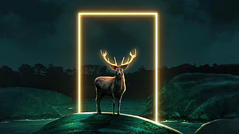 Deer Glow Door , deer, artist, artwork, digital-art, deviantart HD wallpaper