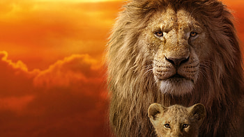 The Lion King , the-lion-king, lion, 2019-movies, movies, disney, simba HD wallpaper