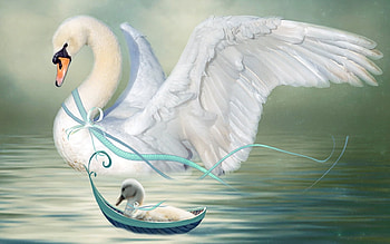 Mama Swan and Her Baby, sweetness, elegance, serene, water, Duckling, Swans HD wallpaper