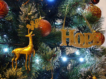 Christmas Hope, x-mas, lights, tree, ornaments HD wallpaper