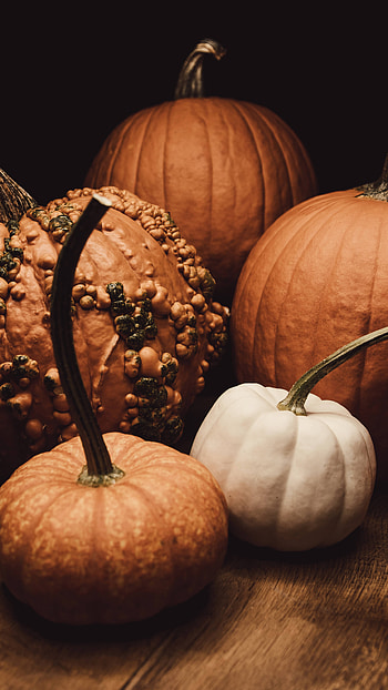 Aesthetic October Pumpkin HD phone wallpaper